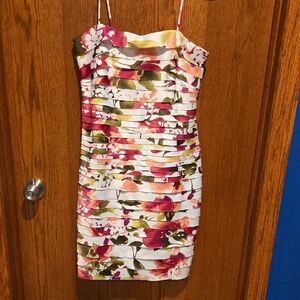 dressbarn Multicolor Floral Striped Mini Dress